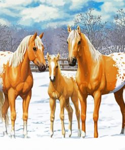 Appaloosa Family Animal paint by numbers