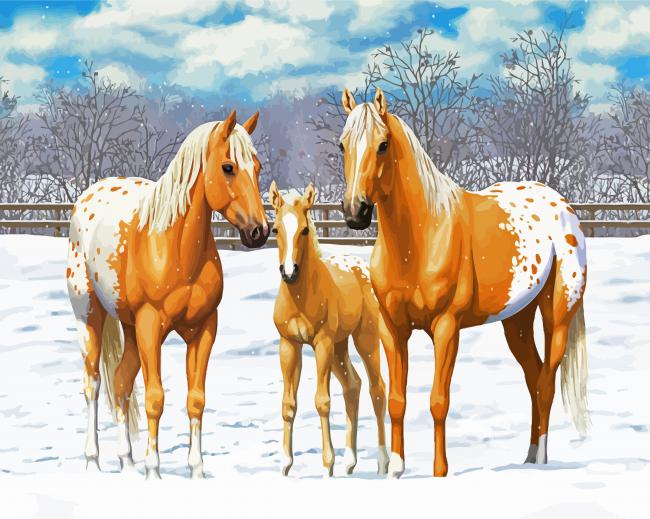 Appaloosa Family Animal paint by numbers