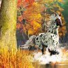 Appaloosa Horse Running paint by numbers