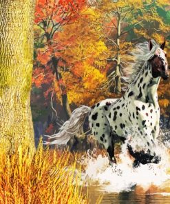 Appaloosa Horse Running paint by numbers