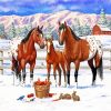 Brown Appaloosa Horses paint by numbers