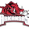 Arkansas Razorback Logo paint by numbers