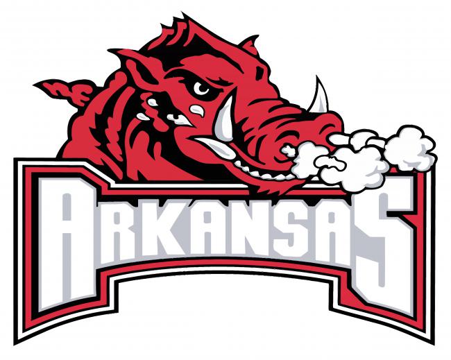 Arkansas Razorback Logo paint by numbers