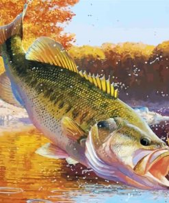 Beautiful Largemouth Bass paint by numbers