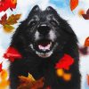 Black Tervuren And Leaves paint by number