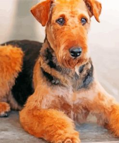 Brown Airedale Terrier paint by numbers