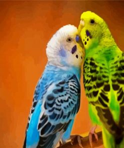 Budgerigars paint by number