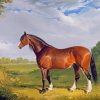 Clydesdale Stallion paint by numbers