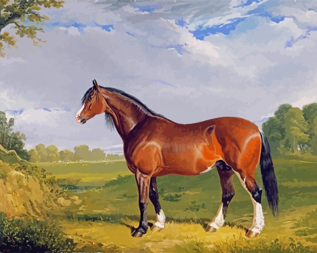 Clydesdale Stallion paint by numbers