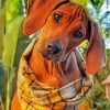 Adorable Ridgeback Puppy paint by numbers
