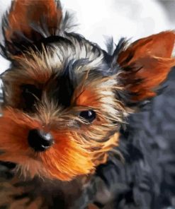 Cute Black Yorkshire Terrier Puppy paint by numbers