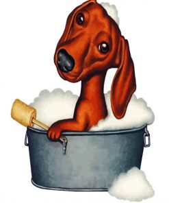 dachshund In Bath paint by number