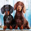 Dachshunds Puppies paint by number