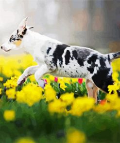 Dog In Flowers paint by numbers
