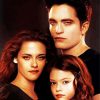 Edward And Bella paint by number