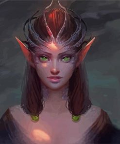 Elf Lady Art paint by numbers