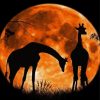 Giraffes In The Moonlight paint by number
