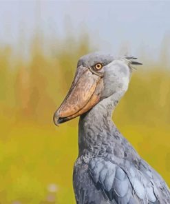 Grey Shoebill paint by numbers