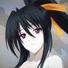 High School Dxd Akeno paint by number