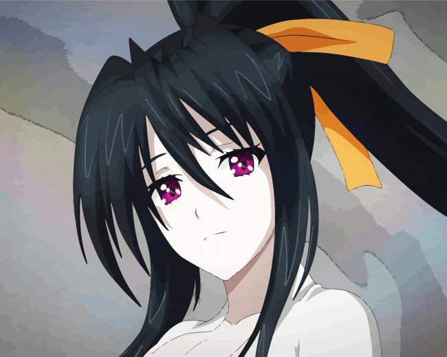 High School Dxd Akeno paint by number