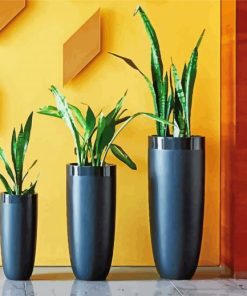 Indoor Plants Pots paint by numbers