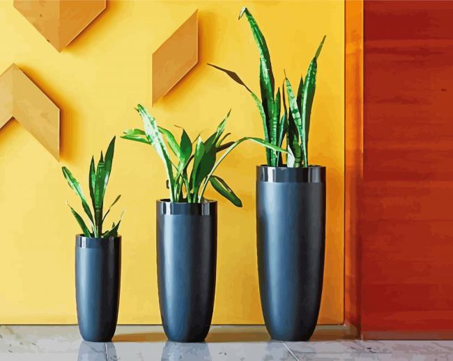 Indoor Plants Pots paint by numbers