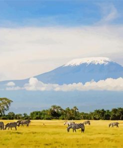 Kilimandjaro Tanzania paint by numbers