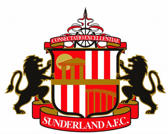 Logo Sunderland AFC paint by numbers