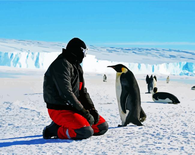 Man And Penguins In Antarctica paint by numbers