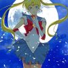 Moon Empire Tsukino Anime paint by number