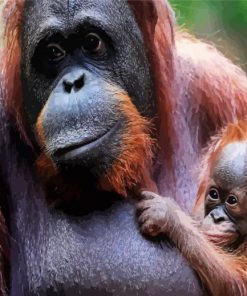 Orangutan And Baby Monkey paint by numbers