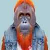Orangutan Monkey Man paint by numbers
