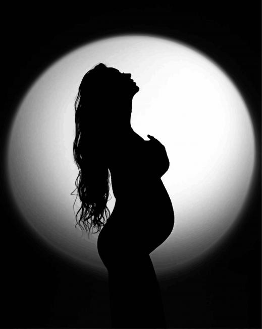 Pregnant Lady Silhouette paint by number