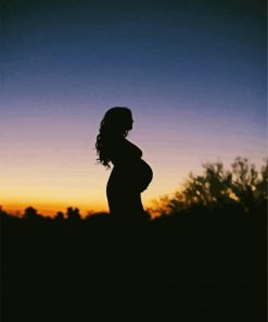 Pregnant Silhouette paint by number