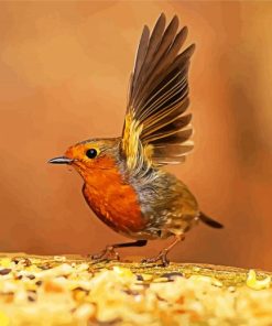 Robin Bird paint by numbers