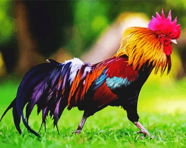 Rooster Bird In Grass paint by numbers