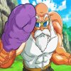 Roshi Dragon Ball Anime paint by numbers