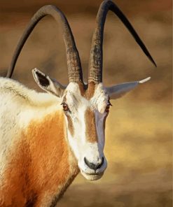 Saharian Oryx Animal paint by numbers