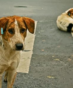 Two Street Dog paint by numbers