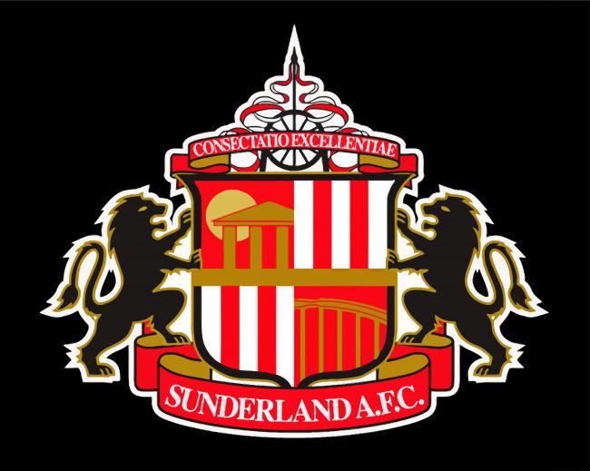 Sunderland AFC Logo paint by number