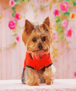 Teacup Yorkie Puppy paint by number