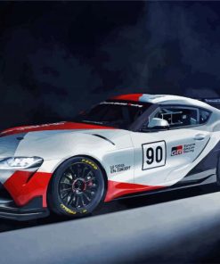 Toyota GR Supra Race Car paint by numbers
