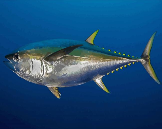 Tuna Fish paint by number