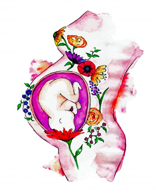 Unborn Baby Art paint by number