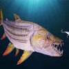 Underwater Tigerfish Fishing paint by numbers