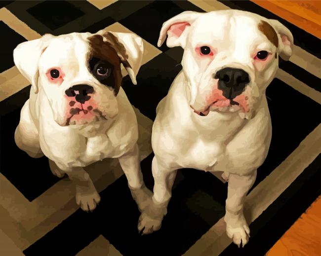 White Two Boxers Dogs paint by numbers