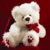 White Teddy Bear paint by number