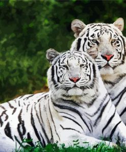 White tigers paint by number