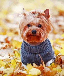 Yorkshire Terrier Dog paint by numbers