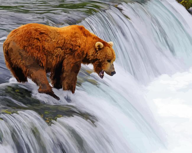 Brown Bear And Waterfall Art paint by numbers